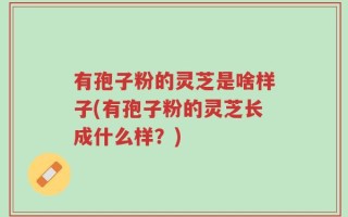 有孢子粉的灵芝是啥样子(有孢子粉的灵芝长成什么样？)