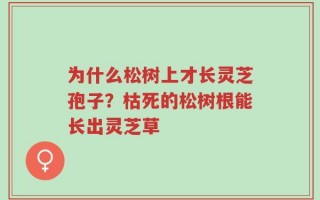 为什么松树上才长灵芝孢子？枯死的松树根能长出灵芝草