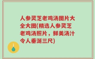 人参灵芝老鸡汤图片大全大图(精选人参灵芝老鸡汤照片，鲜美汤汁令人垂涎三尺)