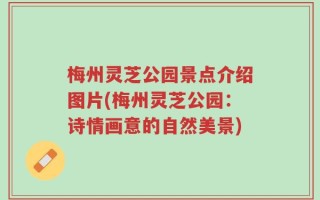 梅州灵芝公园景点介绍图片(梅州灵芝公园：诗情画意的自然美景)