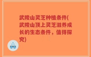 武陵山灵芝种植条件(武陵山顶上灵芝滋养成长的生态条件，值得探究)