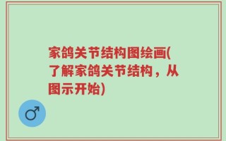 家鸽关节结构图绘画(了解家鸽关节结构，从图示开始)