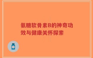 氨糖软骨素B的神奇功效与健康关怀探索