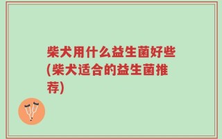 柴犬用什么益生菌好些(柴犬适合的益生菌推荐)