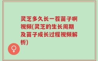 灵芝多久长一茬苗子啊视频(灵芝的生长周期及苗子成长过程视频解析)