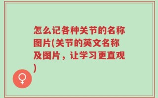 怎么记各种关节的名称图片(关节的英文名称及图片，让学习更直观)