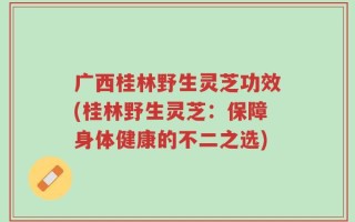 广西桂林野生灵芝功效(桂林野生灵芝：保障身体健康的不二之选)