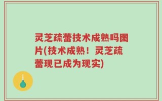 灵芝疏蕾技术成熟吗图片(技术成熟！灵芝疏蕾现已成为现实)