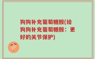狗狗补充葡萄糖胺(给狗狗补充葡萄糖胺：更好的关节保护)