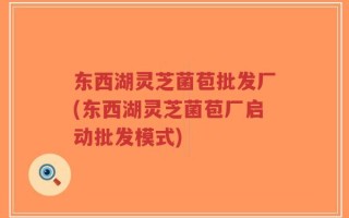 东西湖灵芝菌苞批发厂(东西湖灵芝菌苞厂启动批发模式)