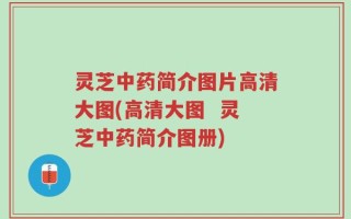 灵芝中药简介图片高清大图(高清大图  灵芝中药简介图册)