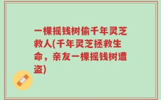 一棵摇钱树偷千年灵芝救人(千年灵芝拯救生命，亲友一棵摇钱树遭盗)