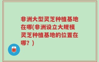 非洲大型灵芝种植基地在哪(非洲设立大规模灵芝种植基地的位置在哪？)