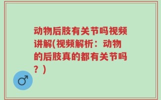 动物后肢有关节吗视频讲解(视频解析：动物的后肢真的都有关节吗？)