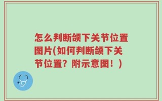 怎么判断颌下关节位置图片(如何判断颌下关节位置？附示意图！)