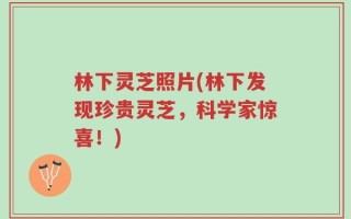 林下灵芝照片(林下发现珍贵灵芝，科学家惊喜！)