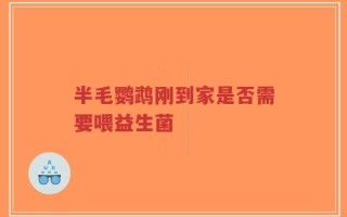半毛鹦鹉刚到家是否需要喂益生菌