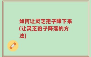 如何让灵芝孢子降下来(让灵芝孢子降落的方法)