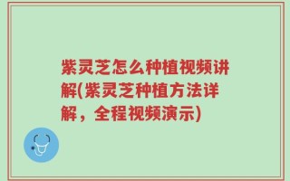 紫灵芝怎么种植视频讲解(紫灵芝种植方法详解，全程视频演示)