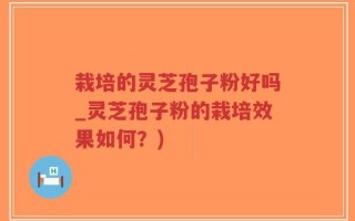 栽培的灵芝孢子粉好吗_灵芝孢子粉的栽培效果如何？)