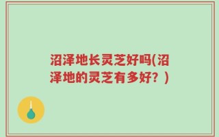 沼泽地长灵芝好吗(沼泽地的灵芝有多好？)