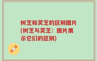 树芝和灵芝的区别图片(树芝与灵芝：图片展示它们的区别)