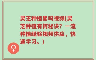 灵芝种植累吗视频(灵芝种植有何秘诀？一流种植经验视频供应，快速学习。)