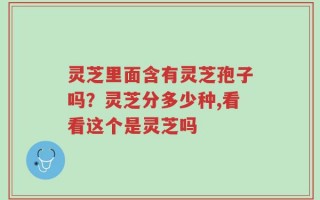 灵芝里面含有灵芝孢子吗？灵芝分多少种,看看这个是灵芝吗