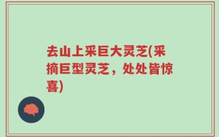 去山上采巨大灵芝(采摘巨型灵芝，处处皆惊喜)
