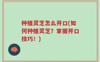 种植灵芝怎么开口(如何种植灵芝？掌握开口技巧！)