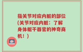 指关节对应内脏的部位(关节对应内脏：了解身体躯干器官的神奇商机！)
