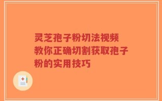 灵芝孢子粉切法视频 教你正确切割获取孢子粉的实用技巧