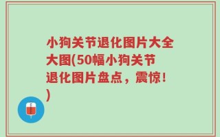 小狗关节退化图片大全大图(50幅小狗关节退化图片盘点，震惊！)