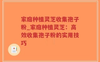 家庭种植灵芝收集孢子粉_家庭种植灵芝：高效收集孢子粉的实用技巧