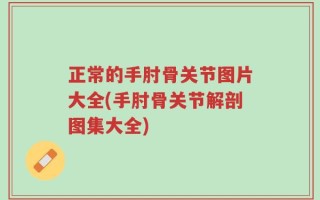 正常的手肘骨关节图片大全(手肘骨关节解剖图集大全)