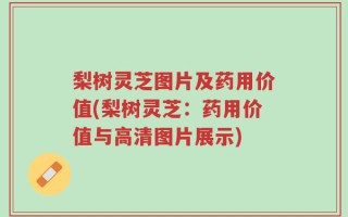 梨树灵芝图片及药用价值(梨树灵芝：药用价值与高清图片展示)