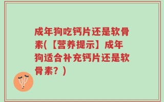 成年狗吃钙片还是软骨素(【营养提示】成年狗适合补充钙片还是软骨素？)