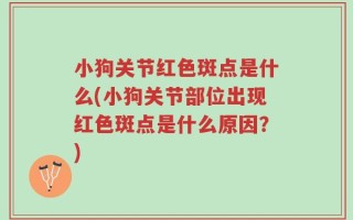 小狗关节红色斑点是什么(小狗关节部位出现红色斑点是什么原因？)