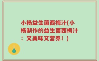 小杨益生菌西梅汁(小杨制作的益生菌西梅汁：又美味又营养！)