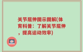 关节屈伸图示图解(体育科普：了解关节屈伸，提高运动效率)