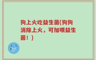 狗上火吃益生菌(狗狗消除上火，可加喂益生菌！)