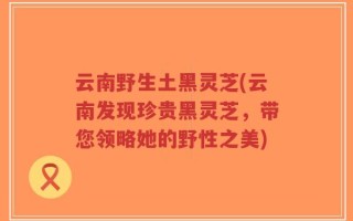 云南野生土黑灵芝(云南发现珍贵黑灵芝，带您领略她的野性之美)