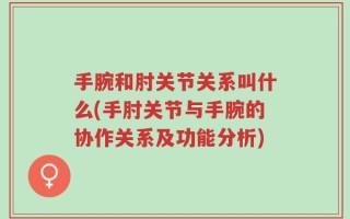 手腕和肘关节关系叫什么(手肘关节与手腕的协作关系及功能分析)
