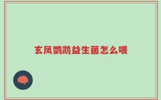 玄凤鹦鹉益生菌怎么喂