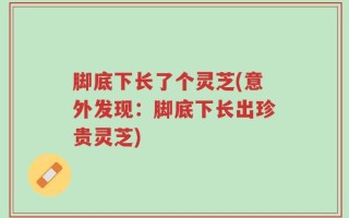 脚底下长了个灵芝(意外发现：脚底下长出珍贵灵芝)