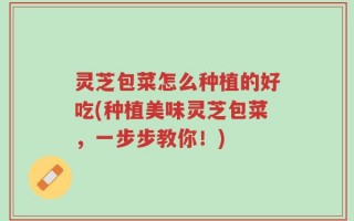 灵芝包菜怎么种植的好吃(种植美味灵芝包菜，一步步教你！)