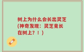 树上为什么会长出灵芝(神奇发现：灵芝竟长在树上？！)