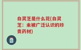 白灵芝是什么花(白灵芝：未被广泛认识的珍贵药材)