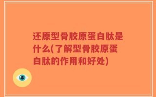 还原型骨胶原蛋白肽是什么(了解型骨胶原蛋白肽的作用和好处)