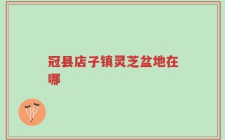 冠县店子镇灵芝盆地在哪